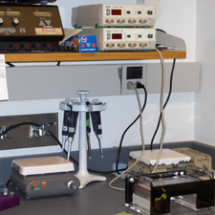 mol biol300