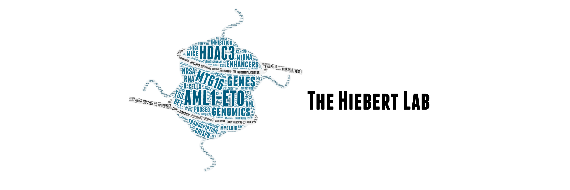 Welcome to the Hiebert Lab