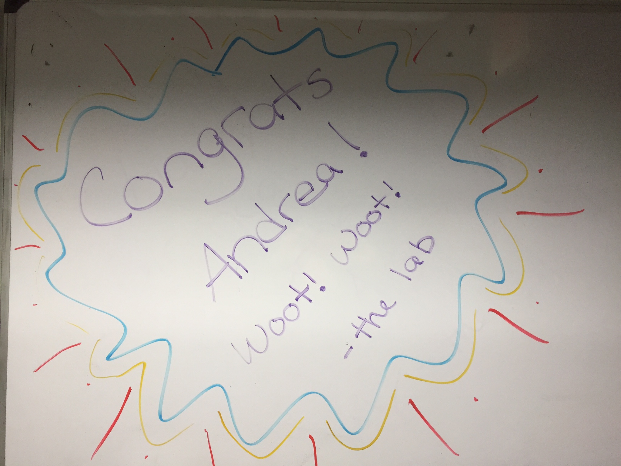 Vanderbilt University